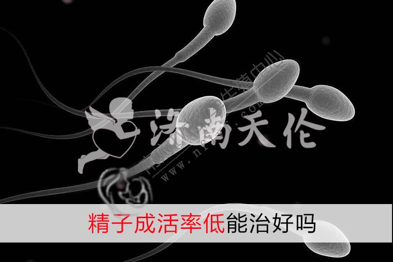 深圳50岁试管婴儿套餐_精子存活率低，可以尝试体外受精吗？