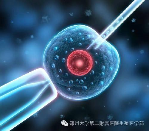 深圳二代试管婴儿包生男孩:深圳凤凰医院的最新体外受精手术